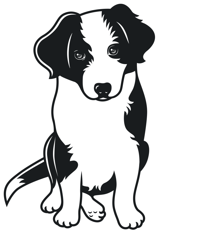 Vector illustratie van een border collie / australian shepherd puppy.